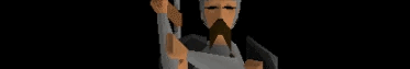 RuneScape Banner